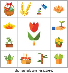 Plant Icon Set