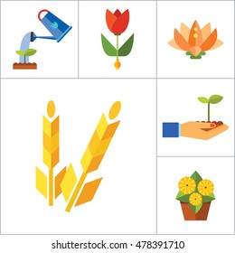 Plant Icon Set