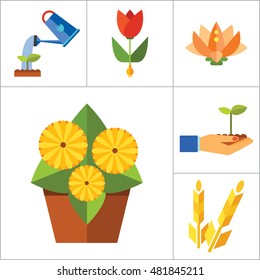 Plant Icon Set