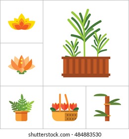 Plant Icon Set