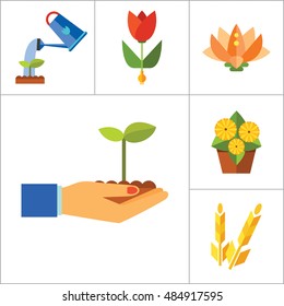 Plant Icon Set