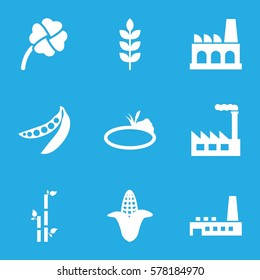 plant icon. Set of 9 plant filled icons such as wheat, corn, bamboo, peas, clover, pond