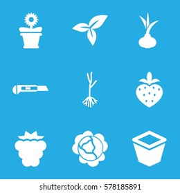 plant icon. Set of 9 plant filled icons such as onion, mulberry, cabbage, cutter, pot for plants, flower pot, sprout, leaf