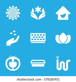 plant icon. Set of 9 plant filled icons such as sunflower, hand with seeds, lotus, flower, water hose, pot for plants, tomato