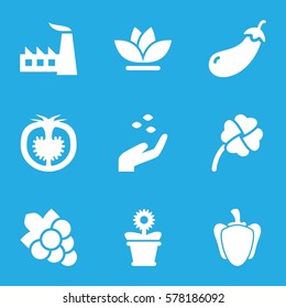 plant icon. Set of 9 plant filled icons such as eggplant, hand with seeds, Grape, factory, flower pot, flower, pepper, tomato