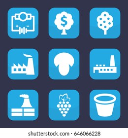 Plant icon. set of 9 filled plant icons such as mushroom, grape, tree, factory, pot for plants, money tree