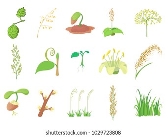 Plant icon set. Cartoon set of plant vector icons for web design isolated on white background