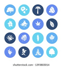 Plant icon set and clover flower with tropical leaf, dahlia and elm tree. Sakura leaf related plant icon vector for web UI logo design.