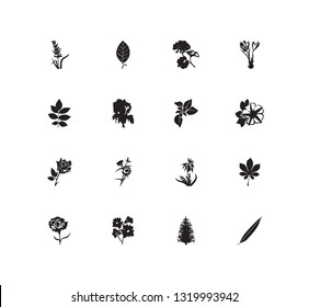 Plant icon set and geranium with carnation, aloe vera and rose. Willow related plant icon vector for web UI logo design.