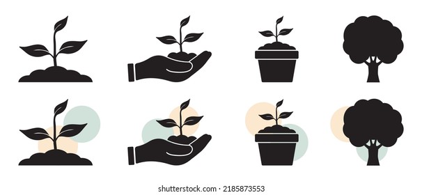 Plant Icon Set With Tree, Pot And Open Hand - Different Vector Illustrations Isolated On White Background
