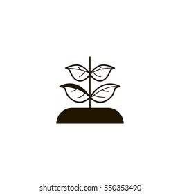 plant icon. sign design