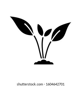 plant icon. sign design vector illustration eps 10
