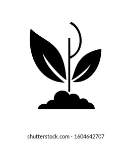 plant icon. sign design vector illustration eps 10