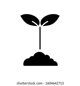 plant icon. sign design vector illustration eps 10