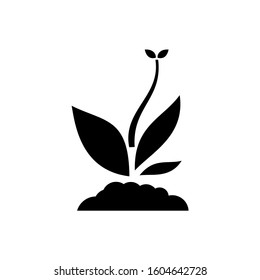 plant icon. sign design vector illustration eps 10