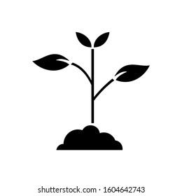plant icon. sign design vector illustration eps 10