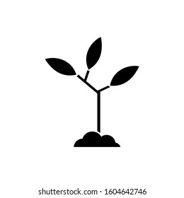 plant icon. sign design vector illustration eps 10
