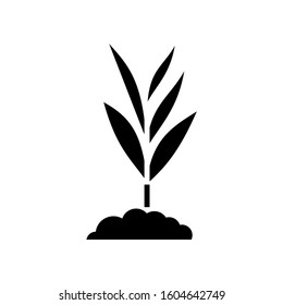 plant icon. sign design vector illustration eps 10