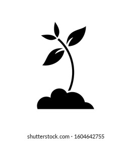 plant icon. sign design vector illustration eps 10