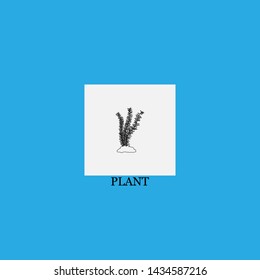 plant icon sign signifier vector