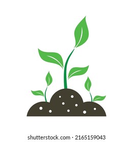 plant icon signs symbols vector design illustration art 