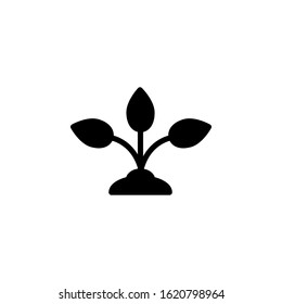 Plant icon template. Vector illustration