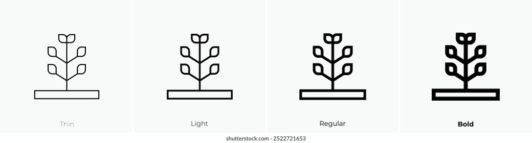 plant icon. Thin, Light Regular And Bold style design isolated on white background