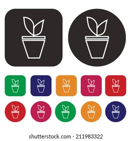 Plant icon / tree icon / leaf icon