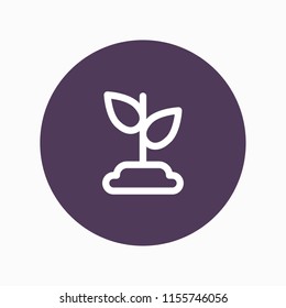plant icon vector