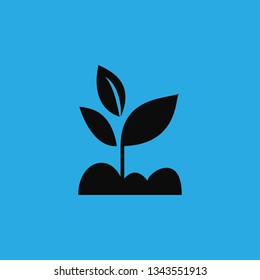 plant icon vector