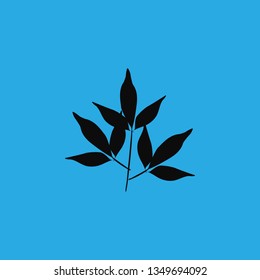 plant icon vector