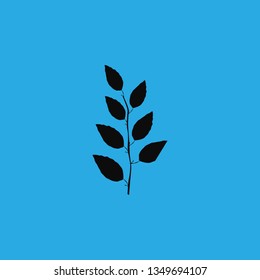 plant icon vector