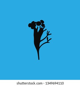 plant icon vector