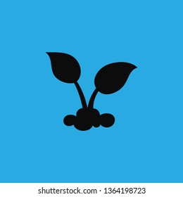 plant icon vector