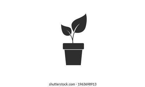 Icono de planta. Ilustración vectorial en blanco y negro de una planta en una olla