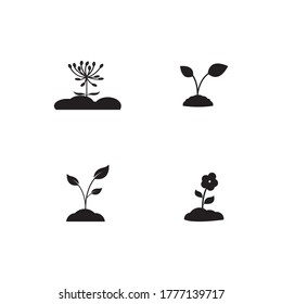 plant icon  vector design illustration background