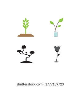 plant icon  vector design illustration background