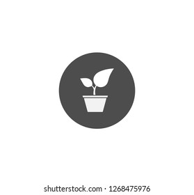 Plant icon . Vector . EPS 10