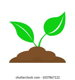 Plant, icon. Vector illustration