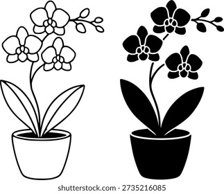 Plant icon, vector illustration of orchid in pot, black and white in outline and silhouette design versions