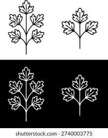 Plant icon, vector illustration of parsley, black and white outline in original and negative design