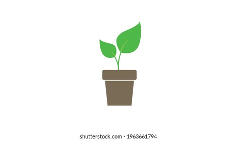 Plant Icon. Vector illustration of a plant in a pot