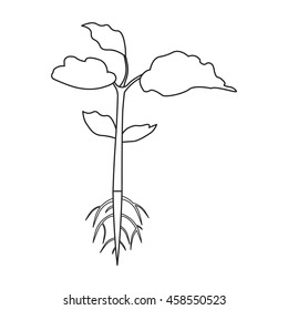 Plant icon of vector illustration for web and mobile design