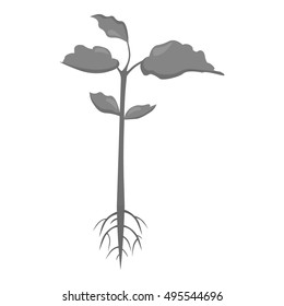Plant icon of vector illustration for web and mobile