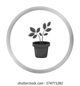 Plant icon of vector illustration for web and mobile