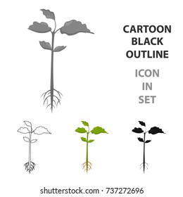 Plant icon of vector illustration for web and mobile