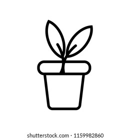 Plant icon vector isolated on white background, Plant transparent sign