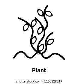 Plant icon vector isolated on white background, Plant transparent sign , black symbols