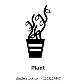 Plant icon vector isolated on white background, Plant transparent sign , black symbols