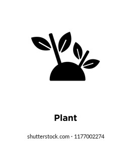 Plant icon vector isolated on white background, logo concept of Plant sign on transparent background, filled black symbol